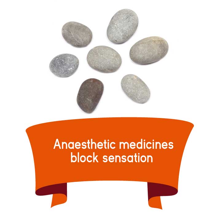 Anaesthetic medicines block sensation
